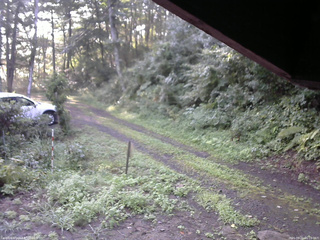 長野県菅平高原 ゆたか山荘 東側(坂下) 2025/08/21 06:15