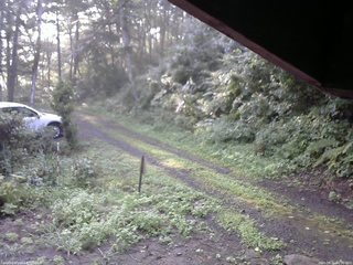 長野県菅平高原 ゆたか山荘 東側(坂下) 2025/08/21 06:30