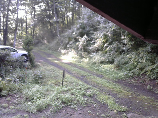 長野県菅平高原 ゆたか山荘 東側(坂下) 2025/08/21 06:45