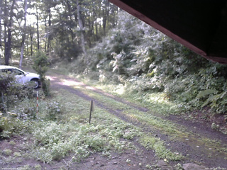 長野県菅平高原 ゆたか山荘 東側(坂下) 2025/08/21 07:00