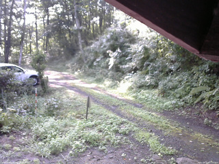 長野県菅平高原 ゆたか山荘 東側(坂下) 2025/08/21 07:15