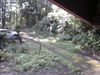 長野県菅平高原 ゆたか山荘 東側(坂下) 2025/08/21 07:30