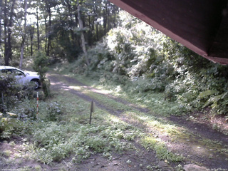 長野県菅平高原 ゆたか山荘 東側(坂下) 2025/08/21 07:45