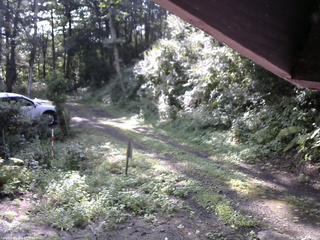 長野県菅平高原 ゆたか山荘 東側(坂下) 2025/08/21 08:00