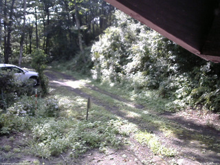 長野県菅平高原 ゆたか山荘 東側(坂下) 2025/08/21 08:15