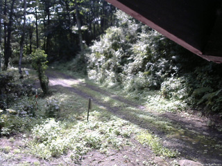 長野県菅平高原 ゆたか山荘 東側(坂下) 2025/08/21 08:30
