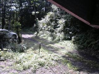 長野県菅平高原 ゆたか山荘 東側(坂下) 2025/08/21 08:45