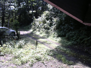 長野県菅平高原 ゆたか山荘 東側(坂下) 2025/08/21 09:00