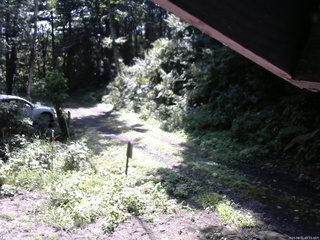 長野県菅平高原 ゆたか山荘 東側(坂下) 2025/08/21 09:15