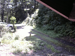 長野県菅平高原 ゆたか山荘 東側(坂下) 2025/08/21 10:00