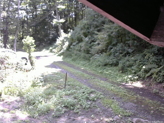 長野県菅平高原 ゆたか山荘 東側(坂下) 2025/08/21 10:45