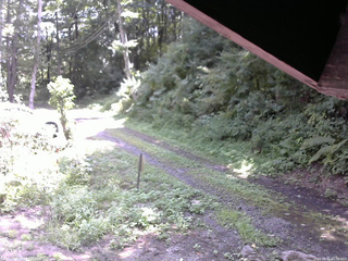 長野県菅平高原 ゆたか山荘 東側(坂下) 2025/08/21 11:00