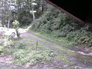 長野県菅平高原 ゆたか山荘 東側(坂下) 2025/08/21 11:45