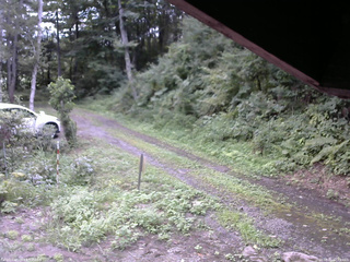 長野県菅平高原 ゆたか山荘 東側(坂下) 2025/08/21 12:00