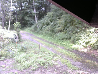 長野県菅平高原 ゆたか山荘 東側(坂下) 2025/08/21 12:30
