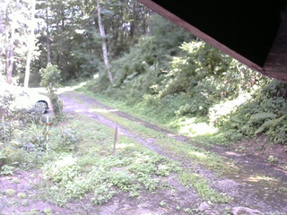 長野県菅平高原 ゆたか山荘 東側(坂下) 2025/08/21 13:00