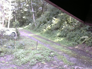 長野県菅平高原 ゆたか山荘 東側(坂下) 2025/08/21 13:15