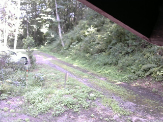 長野県菅平高原 ゆたか山荘 東側(坂下) 2025/08/21 13:45