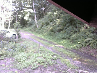 長野県菅平高原 ゆたか山荘 東側(坂下) 2025/08/21 14:00