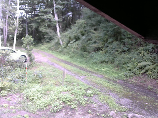 長野県菅平高原 ゆたか山荘 東側(坂下) 2025/08/21 14:30