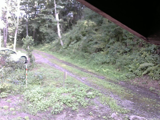 長野県菅平高原 ゆたか山荘 東側(坂下) 2025/08/21 15:00