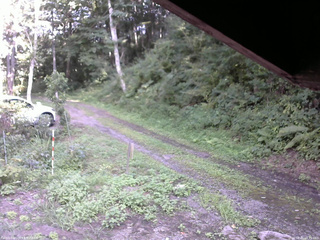 長野県菅平高原 ゆたか山荘 東側(坂下) 2025/08/21 15:15
