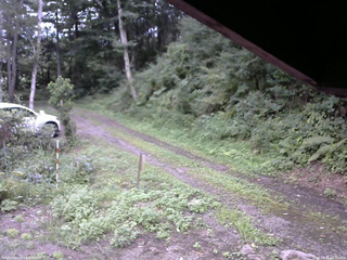 長野県菅平高原 ゆたか山荘 東側(坂下) 2025/08/21 16:15
