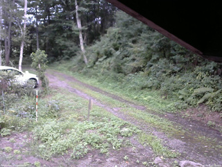 長野県菅平高原 ゆたか山荘 東側(坂下) 2025/08/21 17:00