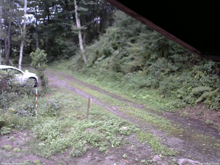 長野県菅平高原 ゆたか山荘 東側(坂下) 2025/08/21 17:15