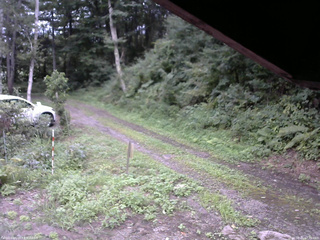 長野県菅平高原 ゆたか山荘 東側(坂下) 2025/08/21 17:30