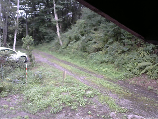 長野県菅平高原 ゆたか山荘 東側(坂下) 2025/08/21 17:45