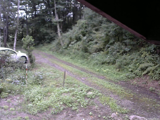 長野県菅平高原 ゆたか山荘 東側(坂下) 2025/08/21 18:00