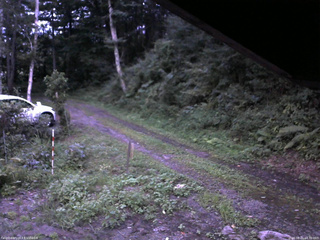 長野県菅平高原 ゆたか山荘 東側(坂下) 2025/08/21 18:30