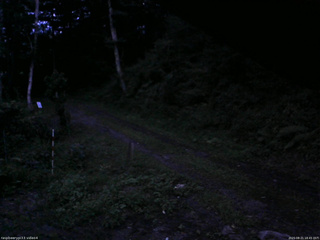 長野県菅平高原 ゆたか山荘 東側(坂下) 2025/08/21 18:45