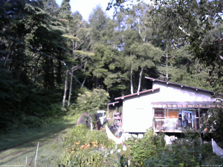 長野県菅平高原 ゆたか山荘 西側(坂上) 2025/08/21 07:15