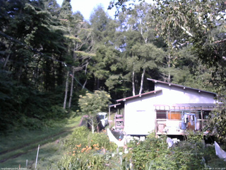 長野県菅平高原 ゆたか山荘 西側(坂上) 2025/08/21 07:45