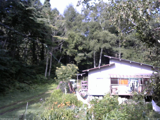 長野県菅平高原 ゆたか山荘 西側(坂上) 2025/08/21 08:15