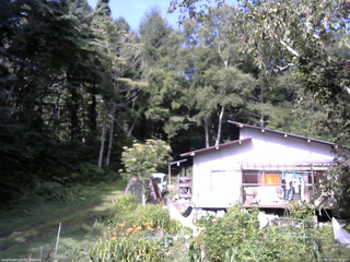 長野県菅平高原 ゆたか山荘 西側(坂上) 2025/08/21 08:45