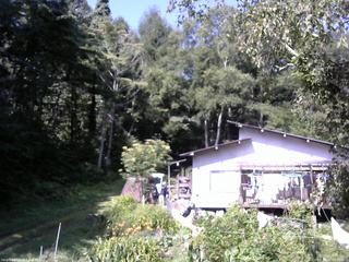 長野県菅平高原 ゆたか山荘 西側(坂上) 2025/08/21 09:15