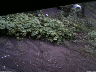 長野県菅平高原 ゆたか山荘 駐車場 2025/08/21 05:00