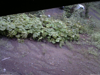 長野県菅平高原 ゆたか山荘 駐車場 2025/08/21 05:15