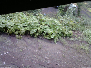 長野県菅平高原 ゆたか山荘 駐車場 2025/08/21 06:00