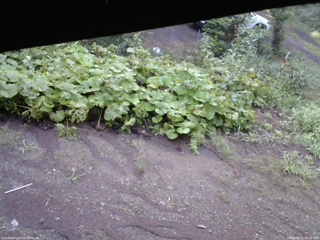 長野県菅平高原 ゆたか山荘 駐車場 2025/08/21 06:15