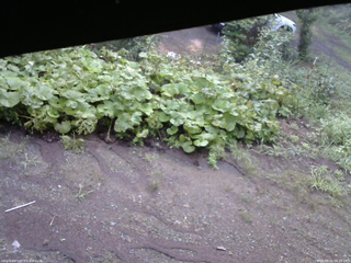 長野県菅平高原 ゆたか山荘 駐車場 2025/08/21 06:30