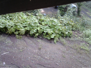 長野県菅平高原 ゆたか山荘 駐車場 2025/08/21 06:45