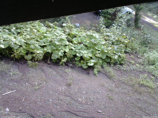 長野県菅平高原 ゆたか山荘 駐車場 2025/08/21 07:00