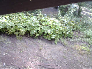 長野県菅平高原 ゆたか山荘 駐車場 2025/08/21 07:15