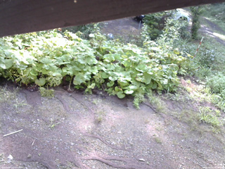 長野県菅平高原 ゆたか山荘 駐車場 2025/08/21 07:45
