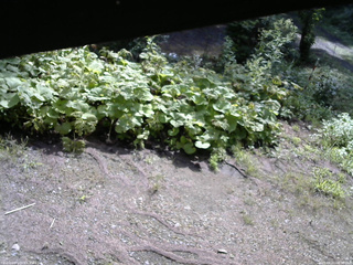 長野県菅平高原 ゆたか山荘 駐車場 2025/08/21 08:30