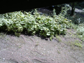 長野県菅平高原 ゆたか山荘 駐車場 2025/08/21 08:45